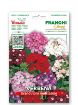 Slika VERBENA GRANDIFLORA - mešanica