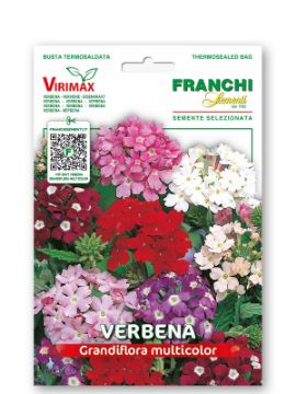 Prikaži podrobnosti za VERBENA GRANDIFLORA - mešanica Slika VERBENA GRANDIFLORA - mešanica