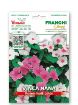 Slika Navadni zimzelen ROSEA - mešanica