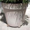 Slika Glinene nogice proti zdrsu WHITE GARDEN