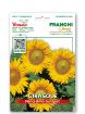 Slika Sončnica NANISSIMO SUNSPOT