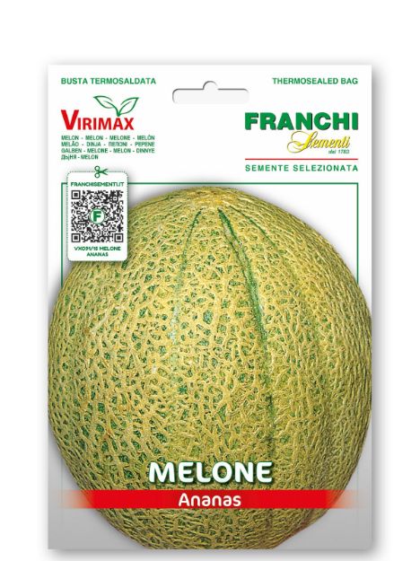 Slika Melona ANANAS