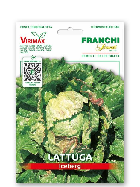 Slika Solata BATAVIA ICEBERG