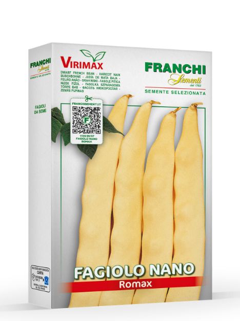 Slika Nizki francoski fižol ROMAX