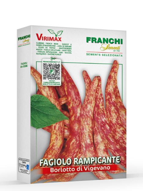 Slika Visok fižol BORLOTTO DI VIGEVANO