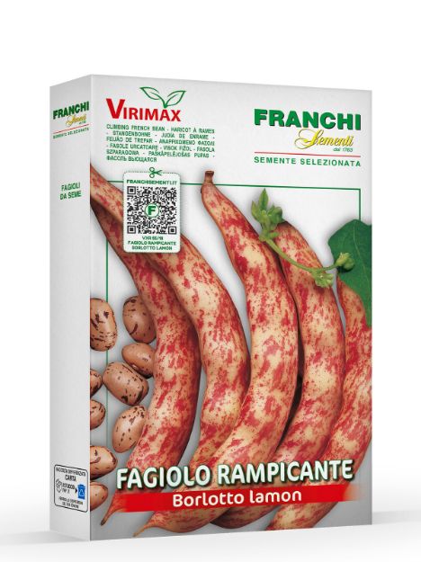 Slika Plezalni fižol BORLOTTO LAMON