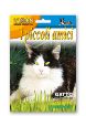 Slika Trava za mačke - NEPETA CATARIA