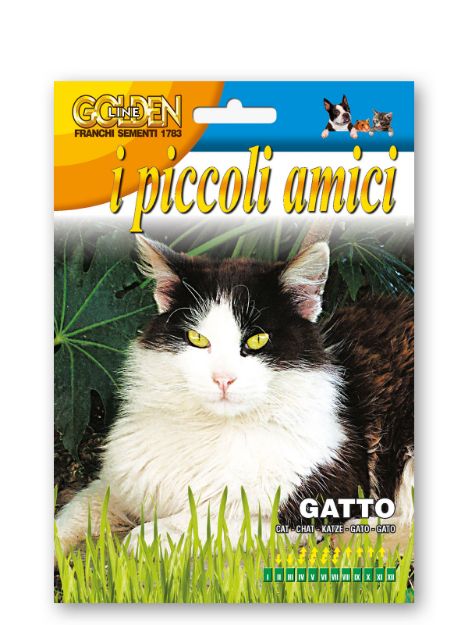 Slika Trava za mačke - NEPETA CATARIA