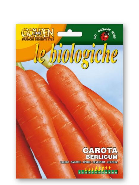 Semena korenja Berlicum Franchi Sementi