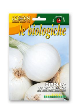 Prikaži podrobnosti za Čebula TONDA MUSONA Slika Čebula TONDA MUSONA