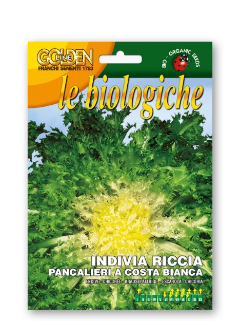 Slika Endivija RICCIA PANCALIERI A COSTA BIANCA