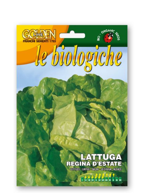 Slika Solata REGINA D’ESTATE