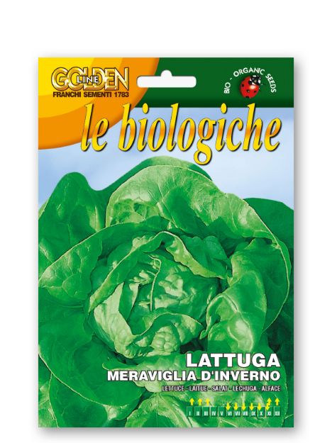 Slika Solata MERAVIGLIA D’INVERNO
