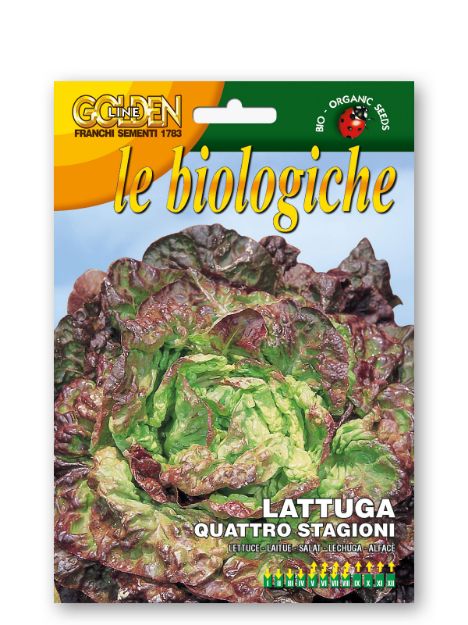 Slika Solata QUATTRO STAGIONI
