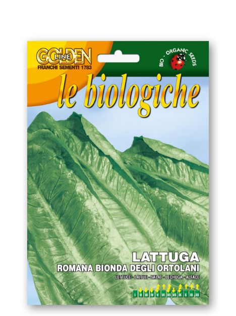 Slika Solata ROMANA BIONDA DEGLI ORTOLANI