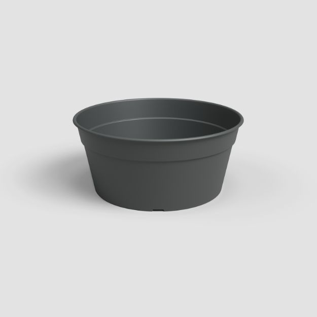 Slika Cvetlična skleda Madagascar - antracit