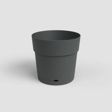 Prikaži podrobnosti za Široke lonec z rezervoarjem vode CAPRI - antracit Slika Široke lonec z rezervoarjem vode CAPRI - antracit