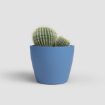 Lonec za kaktus NUBIA - mat modra z kaktusom