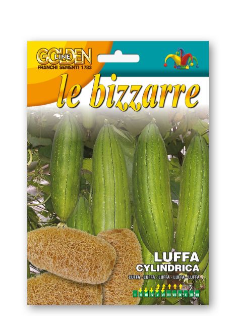 Slika Lufa cylindrica