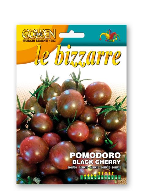 Slika Paradižnik BLACK CHERRY