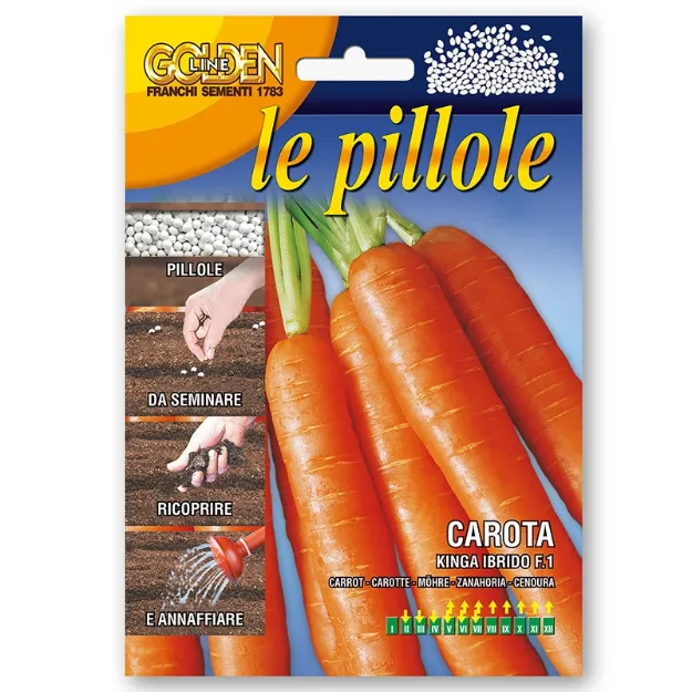 Semena korenja Kinga Franchi Sementi