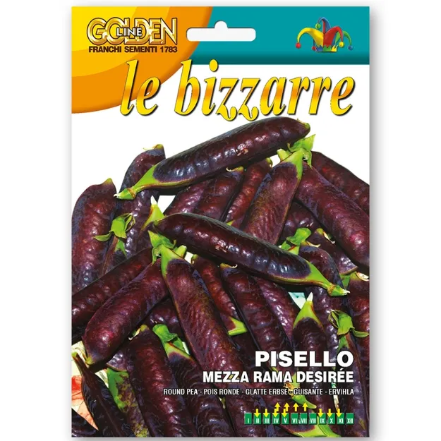 Slika Okrogel grah DÉSIRÉE