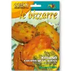 Slika Afriška bučka KIWANO