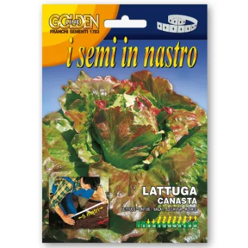 Solata Canasta - semena na traku Sprednja stran embalaže semen na traku solate Canasta