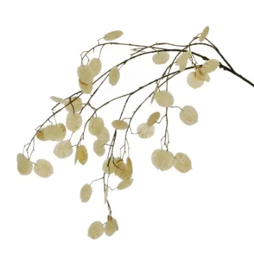 Umetna roža Lunaria – papežev kovanec 75 cm Umetna Lunaria – papežev kovanec, višine 75 cm, z značilnimi prosojnimi listi, primerna za dekoracijo doma, pisarne ali cvetličnih aranžmajev.