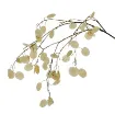 Umetna Lunaria – papežev kovanec, višine 75 cm, z značilnimi prosojnimi listi, primerna za dekoracijo doma, pisarne ali cvetličnih aranžmajev.