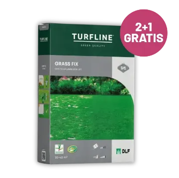 Mešanica travnih semen Grass Fix - 1 kg 2+1  GRATIS Embalažna škatla mešanice semen za travo za regeneracijo zelenice 1 kg