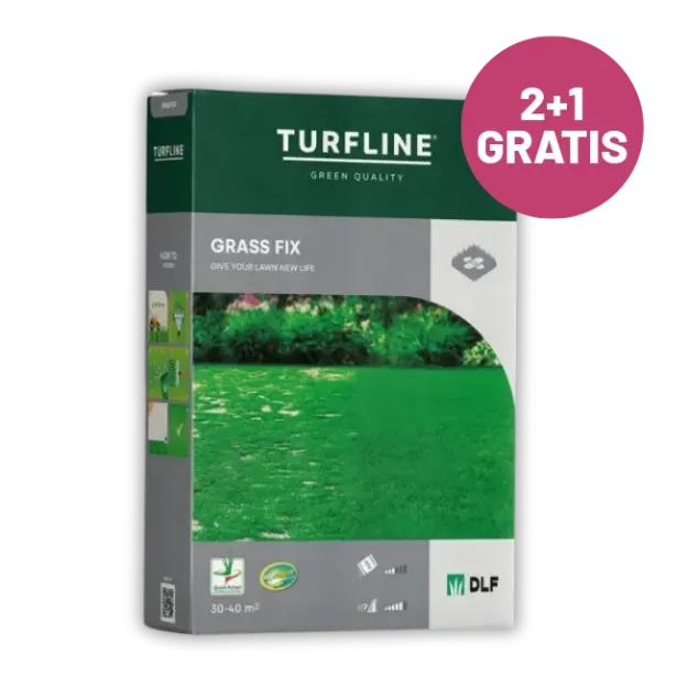 Embalažna škatla mešanice semen za travo za regeneracijo zelenice 1 kg