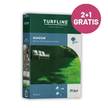 Travna semena za senčna območja - Shadow, 1 kg 2+1 GRATIS Embalaže semen za travo za senčna območja 1 kg