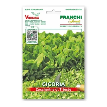 Radič tržaški solatnik - Zuccherina di Trieste Sprednja stran embalaže semen radiča tržaškega solatnika