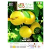 Etiketa Sadika slive GOCCIA D'ORO