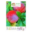 Etiketa Sadike slive SANTA ROSA