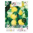 Etiketa Sadike slive REGINA CLAUDIA GIALLA
