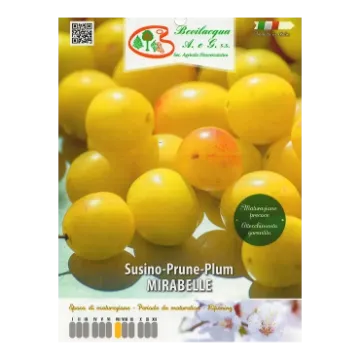 Sadika slive MIRABELLE Etiketa Sadike slive MIRABELLE