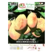 Etiketa Sadike slive COSCIA MONACA GIALLA
