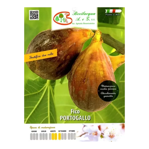 Etiketa Sadike fige PORTOGALLO