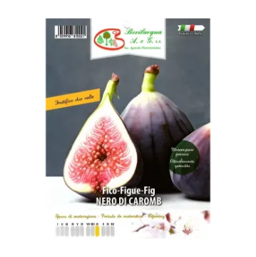 Sadika fige NERO DI CAROMB Etiketa Sadike fige NERO DI CAROMB