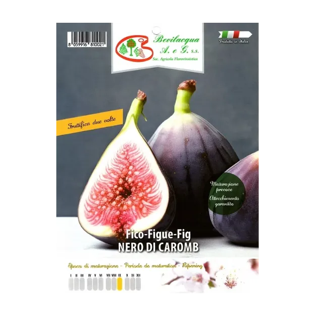 Etiketa Sadike fige NERO DI CAROMB