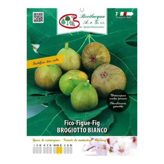 Etiketa Sadike fige BROGIOTTO BIANCO