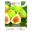Etiketa Sadike fige Segalini Bianco