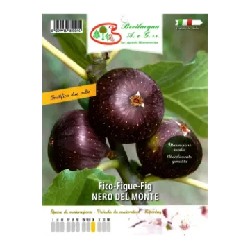 Sadika fige NERO DEL MONTE Etiketa Sadike fige NERO DEL MONTE