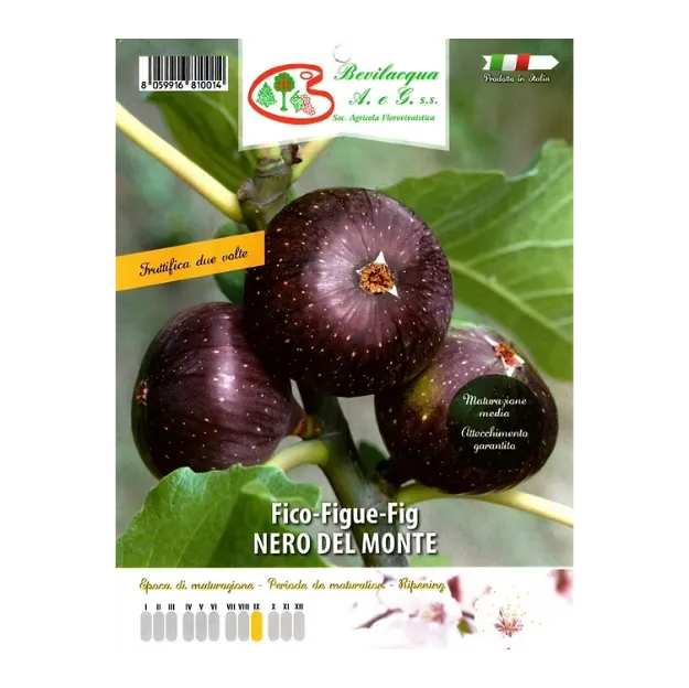 Etiketa Sadike fige NERO DEL MONTE