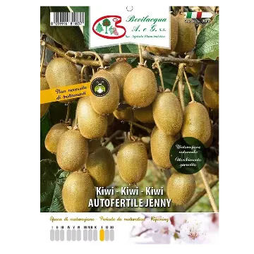 Sadika kivija AUTOFERTILE JENNY Etiketa Sadike kivija AUTOFERTILE JENNY
