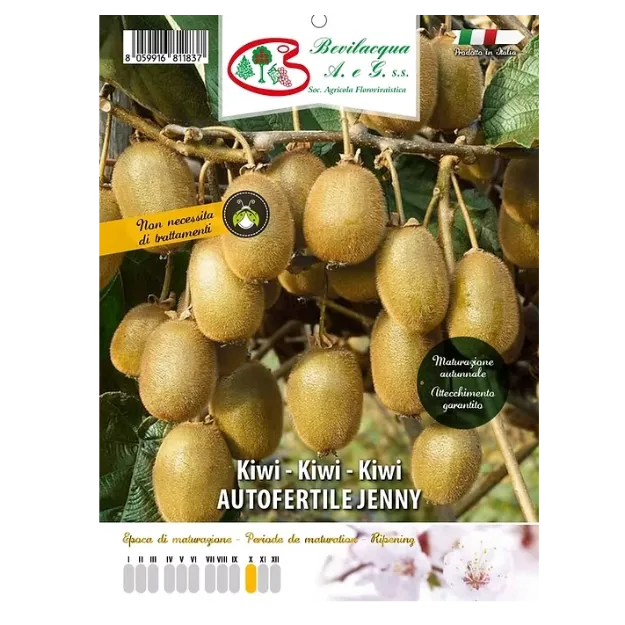 Etiketa Sadike kivija AUTOFERTILE JENNY