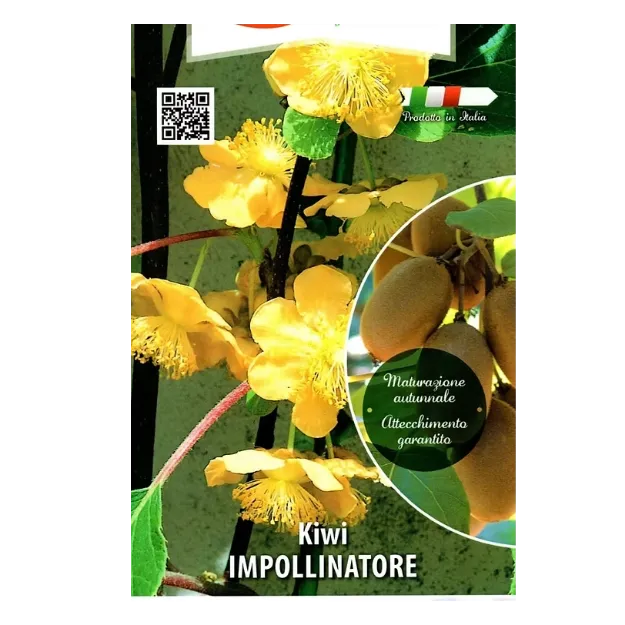 Etiketa Sadike kivija IMPOLLINATORE