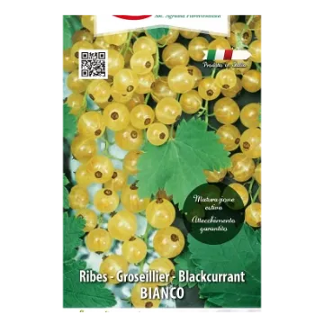 Sadika ribeza BIANCO Etitketa Sadike ribeza BIANCO